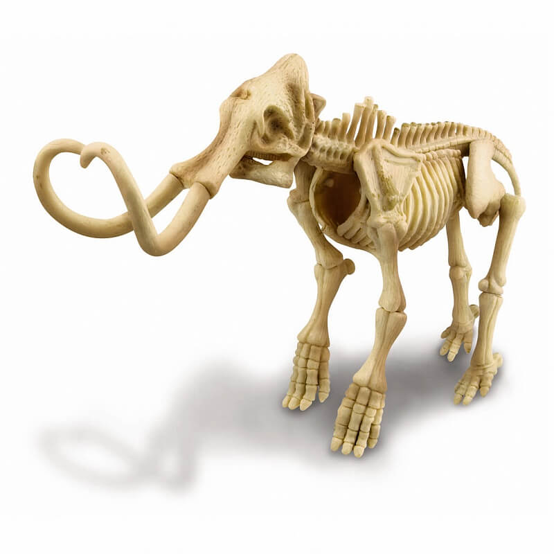 Раскопки - скелет мамонта