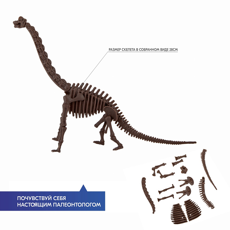 Раскопки скелет брахиозавра