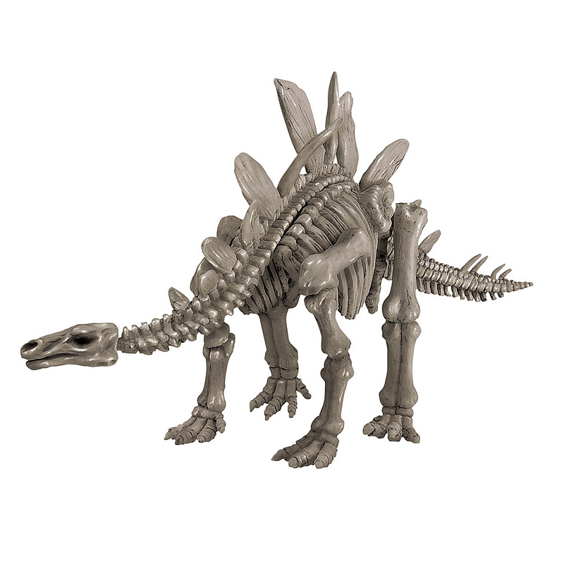Раскопки скелет стегозавра